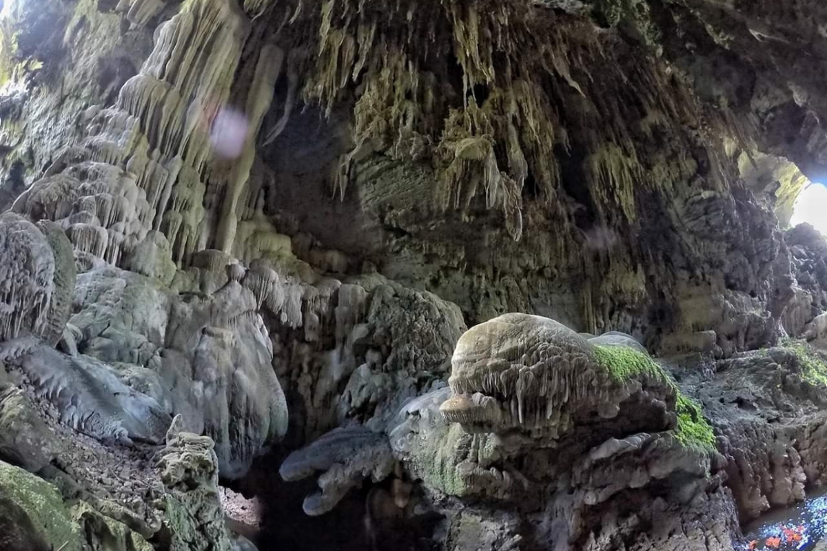 อุทยานแห่งชาติลำคลองงู เปิดท่องเที่ยวถ้ำนกนางแอ่น 4 มี.ค.
