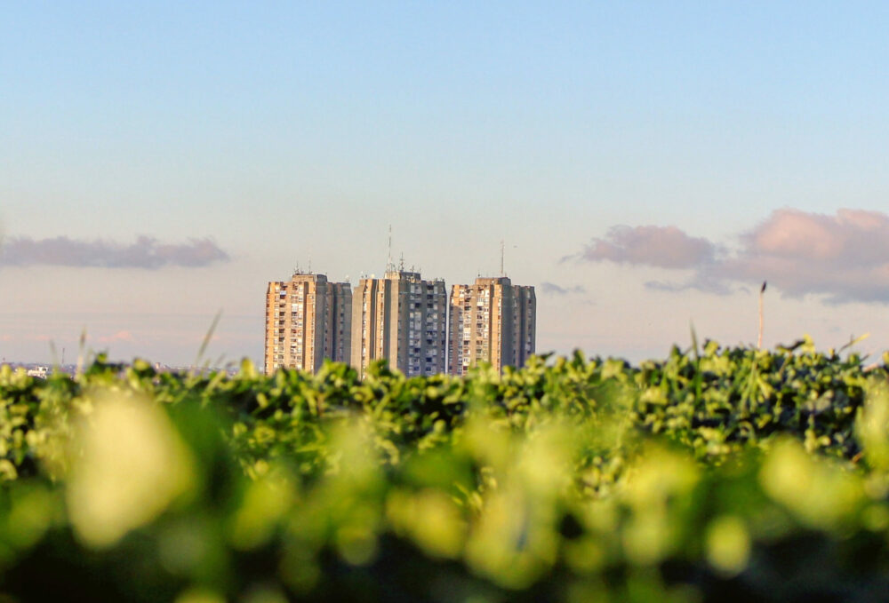 APEC 2022 กับความสำคัญของ ESG หนุนไทยสู่เป้าหมาย BCG