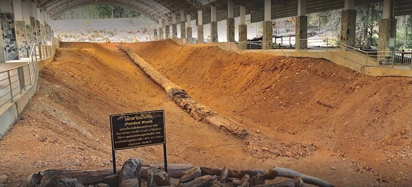 ตากเตรียมจัดงานบันทึกสถิติไม้กลายเป็นหินยาวที่สุด 29 เม.ย.นี้