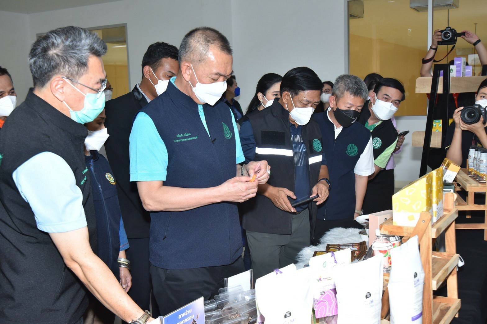 เกษตรฯ เล็งต่อยอดพืชกระท่อมป้อนตลาดแบบครบวงจร