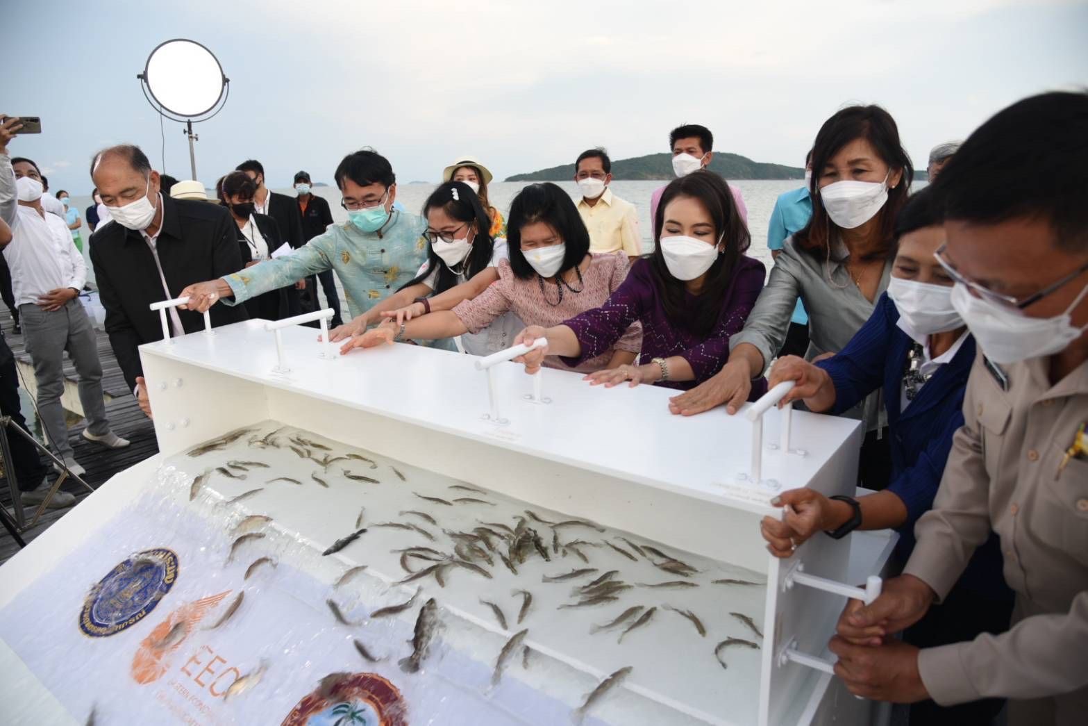 กรมประมงผนึก EEC ฟื้นธุรกิจท่องเที่ยว หนุนพัฒนาความยั่งยืนสัตว์ทะเล