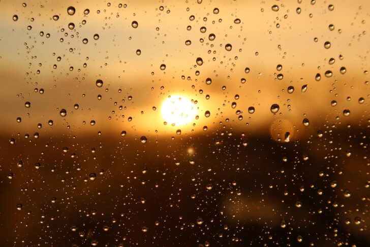 ฝนตก ฝนตก