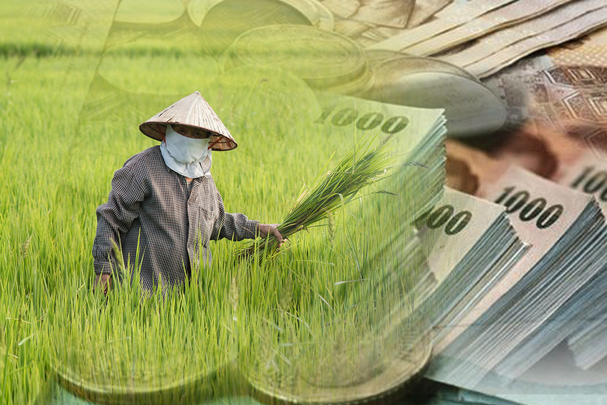 เปิดเงื่อนไข “สกัดที่ดินหลุดมือ” ธ.ก.ส. ช่วยเกษตรกรให้กู้สูงสุดรายละ 2.5 ล้าน