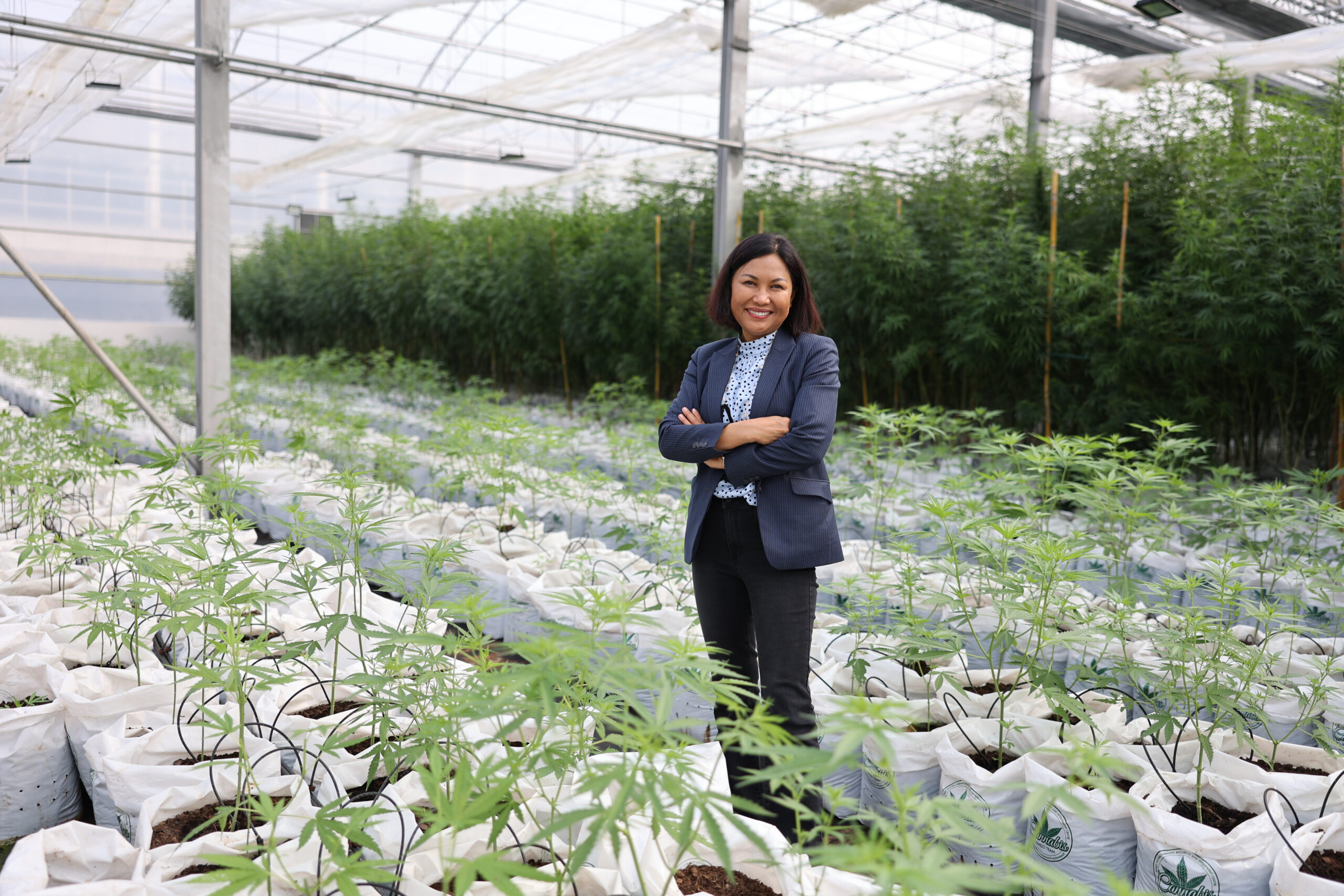 สหรัฐ ผุดศูนย์วิจัยนวัตกรรมกัญชงระดับโลกในไทยแห่งแรกนอกประเทศ
