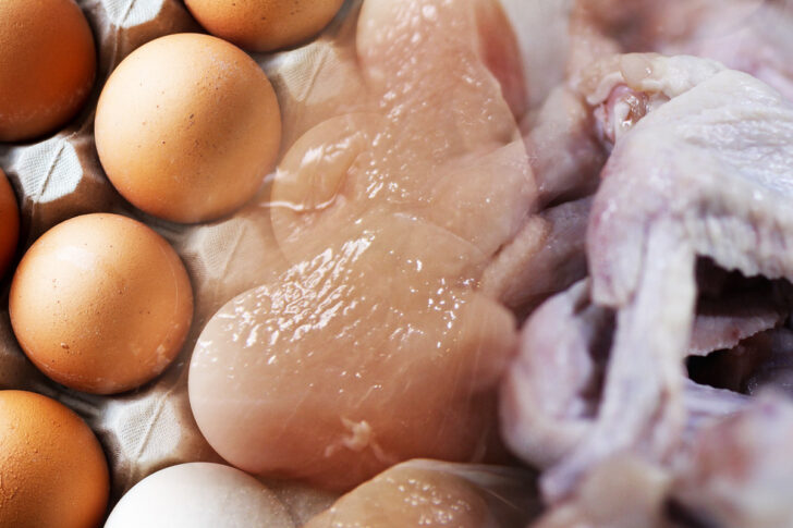 ไข่ ไก่ เนื้อไก่ ไข่ ไก่ เนื้อไก่