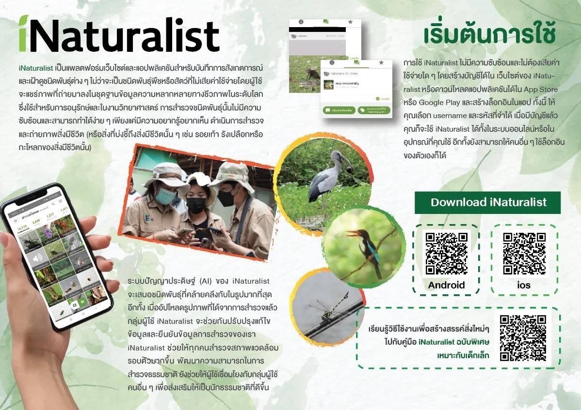 Dow & Thailand Mangrove Alliance ชวนคนไทยร่วมชาเลนจ์  แข่งสำรวจธรรมชาติในเมืองกับประเทศต่าง ๆ ผ่านแอป iNaturalist   