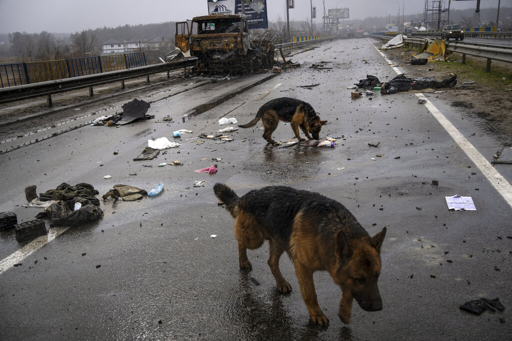 ยูเครนกล่าวหารัสเซีย