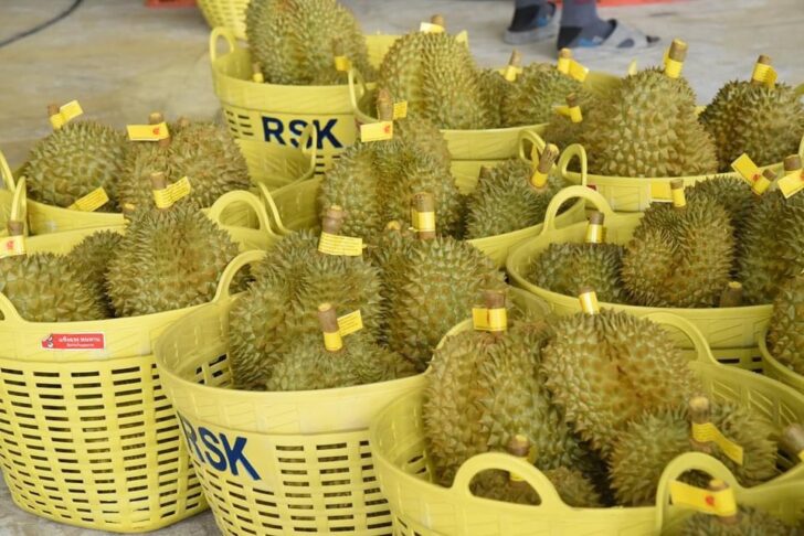 ทุเรียน ทุเรียน