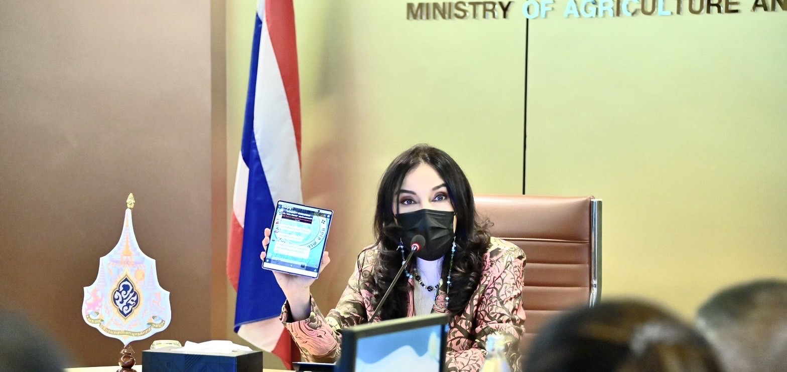 มนัญญา ไทยเศรษฐ์