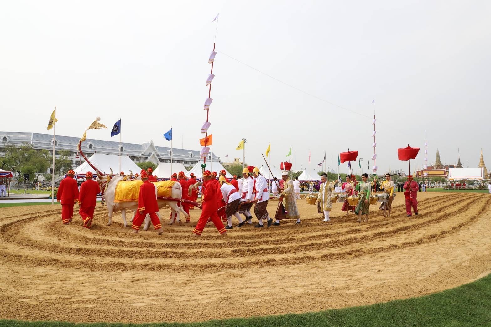 ก.เกษตรฯ เตรียมจัดพระราชพิธีพืชมงคลจรดพระนังคัลแรกนาขวัญ 13 พ.ค. 65