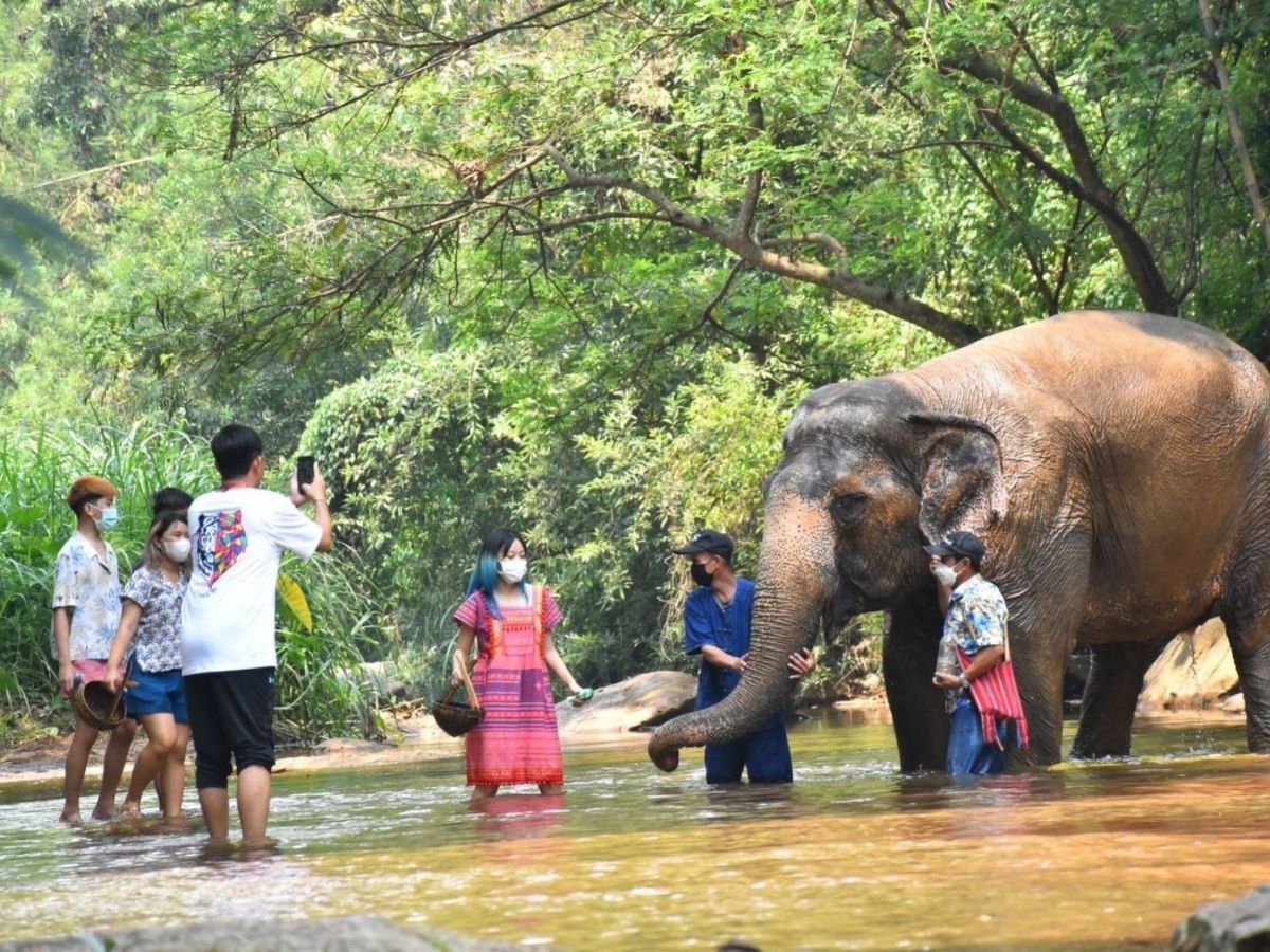 ปางช้างแม่สาคึกคักรับสงกรานต์