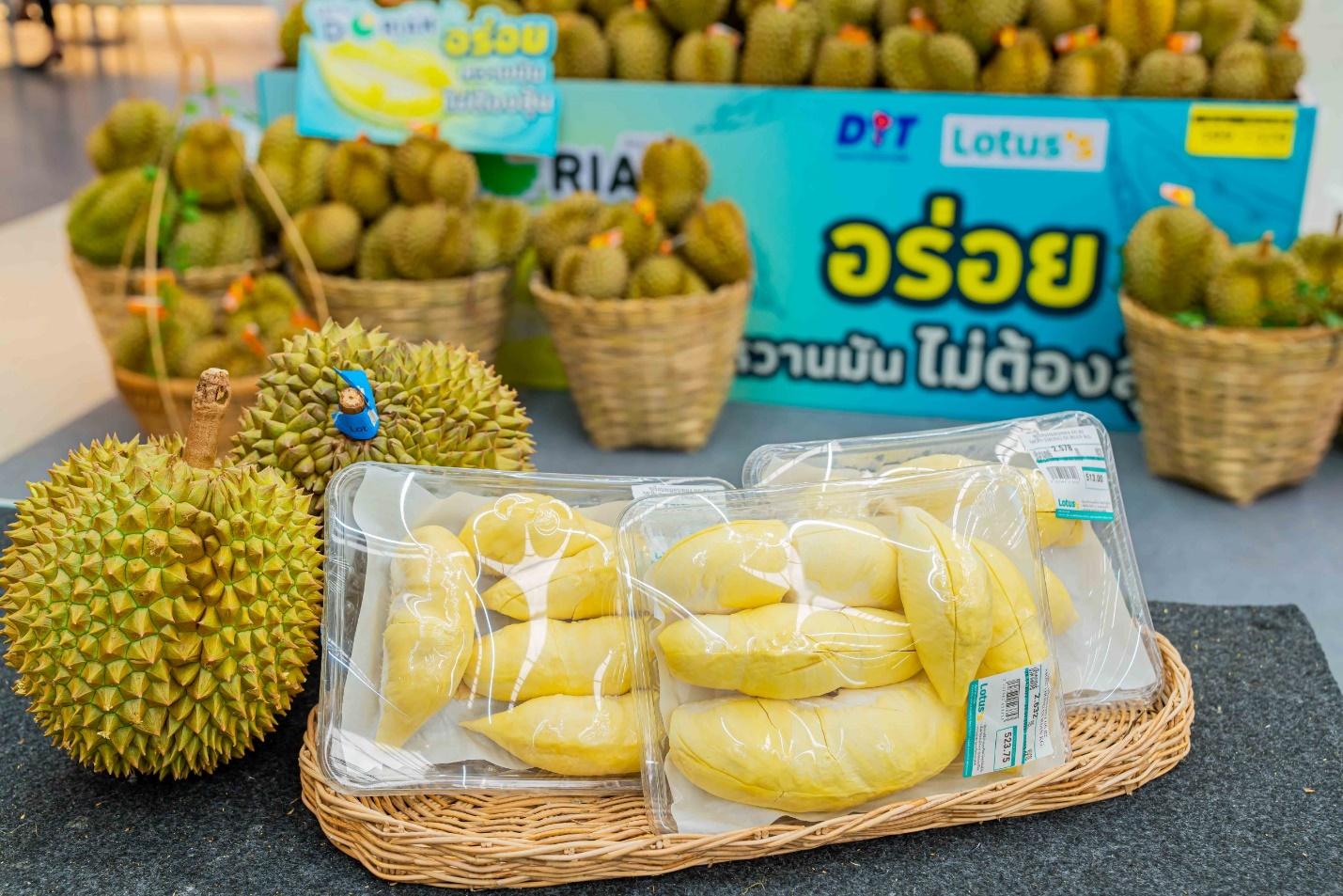 ‘โลตัส’ จัดเทศกาลทุเรียนอุ้มเกษตรกรฝ่าวิกฤติล้นตลาด ส่งต่อทุเรียนไทยคุณภาพดีให้ลูกค้าทั่วประเทศ