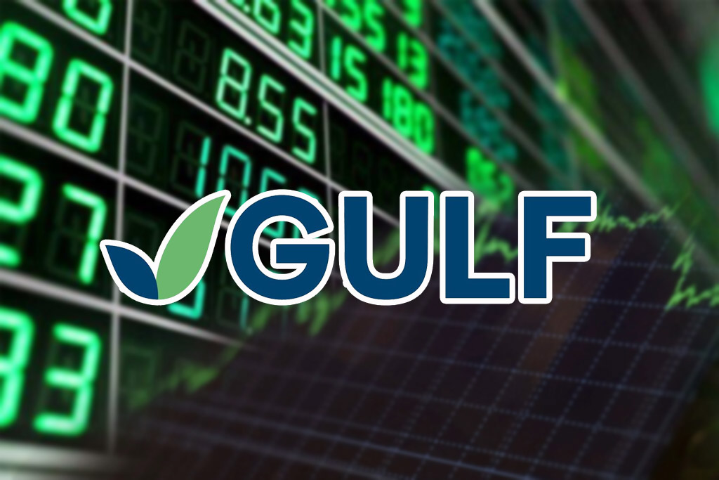 GULF ควักกำไร 5 พันกว่าล้าน จ่ายปันผล-ตั้ง ปรีดี ดาวฉาย นั่งบอร์ด