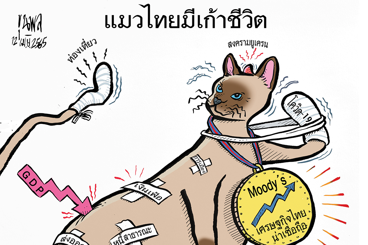 การ์ตูนขุนพล : แมวไทยมีเก้าชีวิต