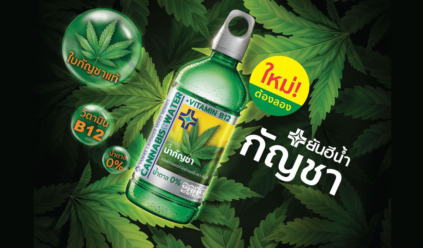 น้ำกัญชายันฮี โอสถสภาร่วมทุนยันฮี เอาใจสายเขียว