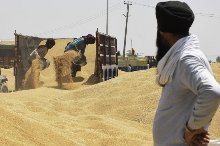 ราคาอาหารโลกจ่อพุ่ง อินเดียสั่งงดส่งออกข้าวสาลี มีผลทันที