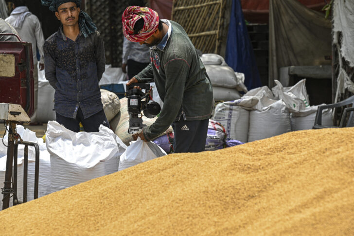INDIA-AGRICULTURE-INFLATION-WHEAT-CONFLICT ข้าวสาลีรัสเซีย
