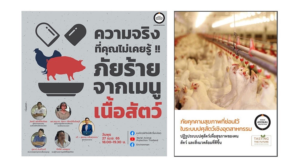องค์กรพิทักษ์สัตว์แห่งโลก จัดเสวนาออนไลน์ เผยความจริงที่คุณไม่เคยรู้ ภัยร้ายจากเมนูเนื้อสัตว์