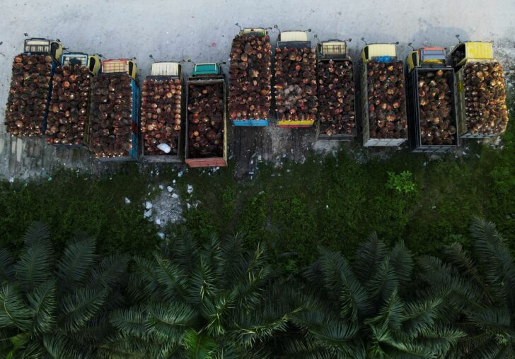 Trucks with palm oil fresh fruit bunches are parked in a queue at a palm oil factory in Siak regency อินโดนีเซียยกเลิกคำสั่งห้ามส่งออกน้ำมันปาล์ม