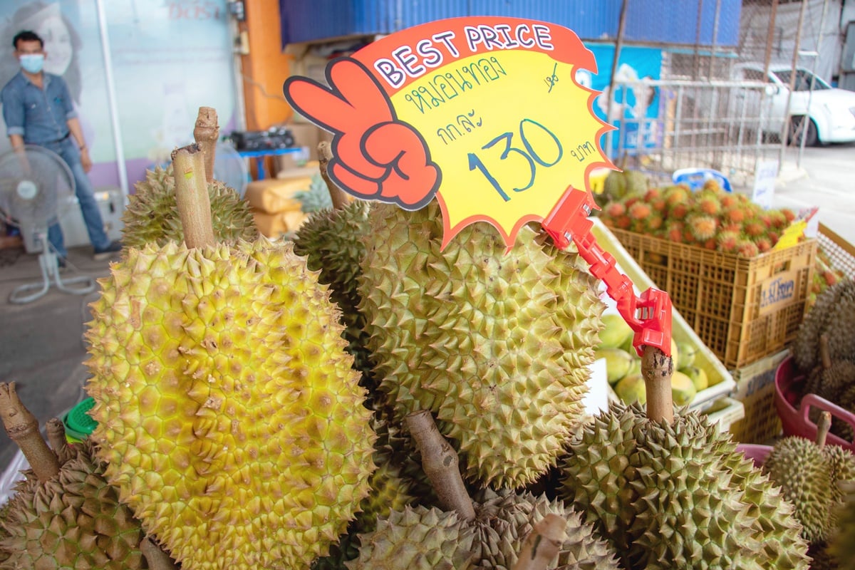 ตราดเปิดงาน Fruit Festival 2022 จัดโปรฯทุเรียนหมอนทอง 99 บาท/กก.