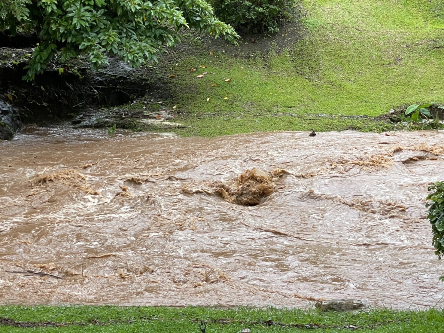 ฝนตก น้ำท่วม เชียงใหม่