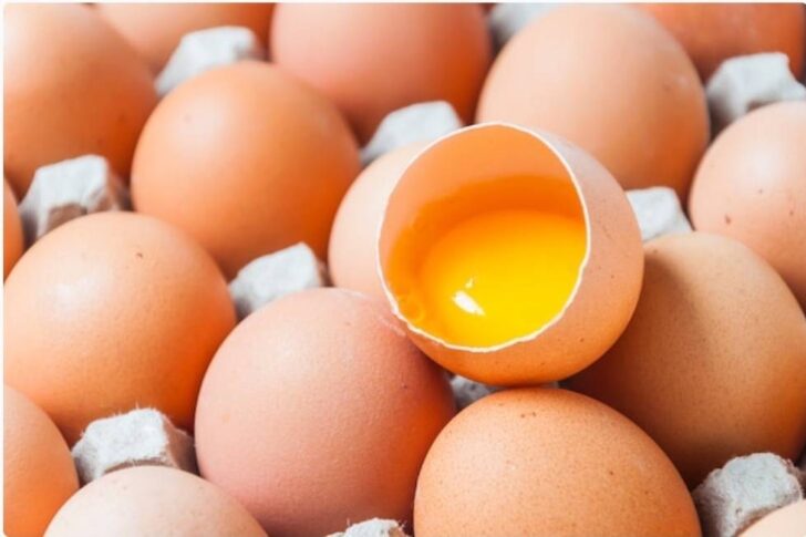 ไข่ไก่ ไข่ไก่
