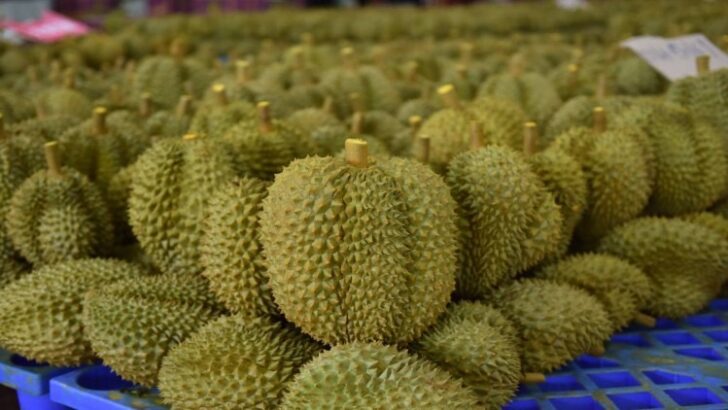 ทุเรียน ทุเรียน