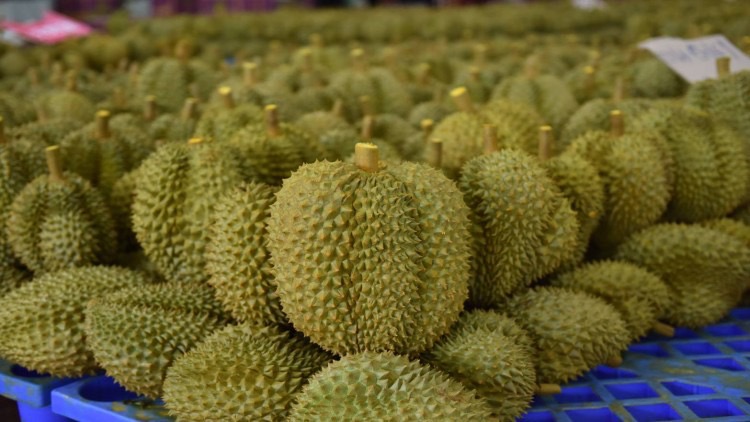 3 ทูตเกษตรตั้งการ์ดสกัดข่าวทำลายภาพลักษณ์ทุเรียนไทย