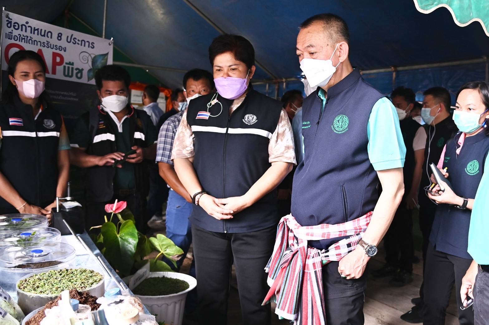 เฉลิมชัย ลงพื้นที่พังงา ปั้นจังหวัดขึ้นแท่นครัวของอันดามัน