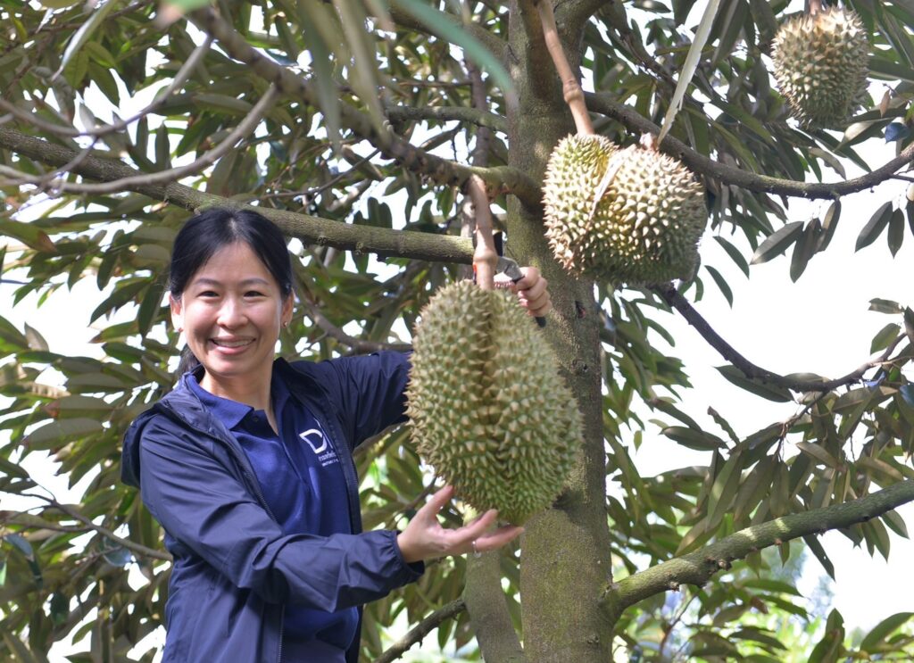 ทุเรียนนนท์ สินค้า GI เกรดพรีเมียม 