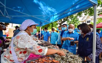 Fisherman Market