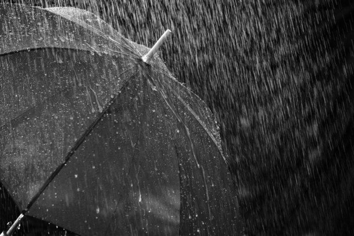 ฝนตก ฝนตก