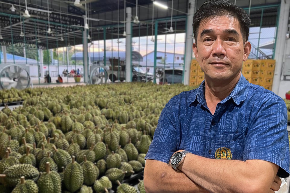 เบื้องหลัง ทีมเล็บเหยี่ยว-สายลับ ตรวจ 258 ล้งทุเรียนอ่อน สกัดโควิด