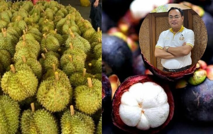 ทุเรียน มังคุด ทุเรียน มังคุด