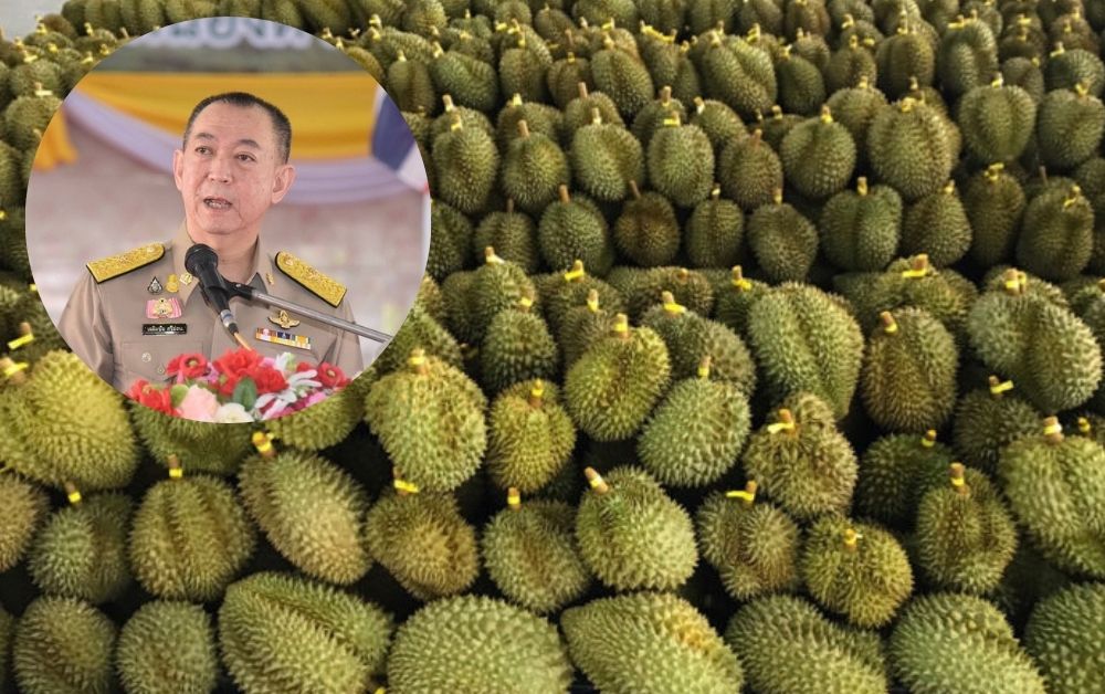 เฉลืมชัย ศรีอ่อน ทุเรียน