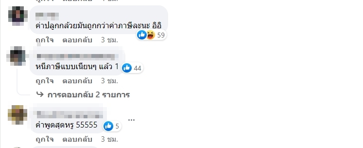 ปลูกต้นกล้วย ที่ดินอิมแพ็ค6