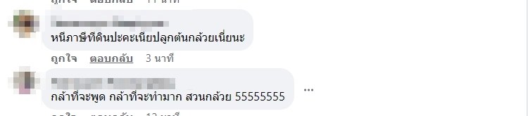 ปลูกต้นกล้วย ที่ดินอิมแพ็ค6