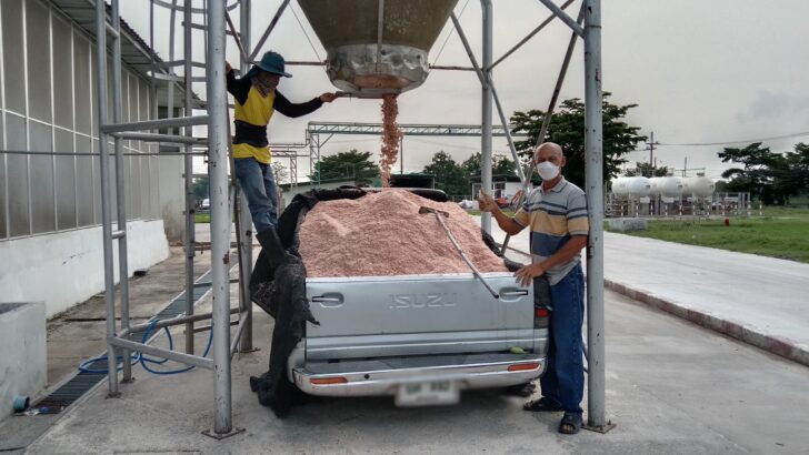 CPF หนุนใช้เปลือกไข่ทำปุ๋ยบำรุงดิน CPF หนุนใช้เปลือกไข่ทำปุ๋ยบำรุงดิน