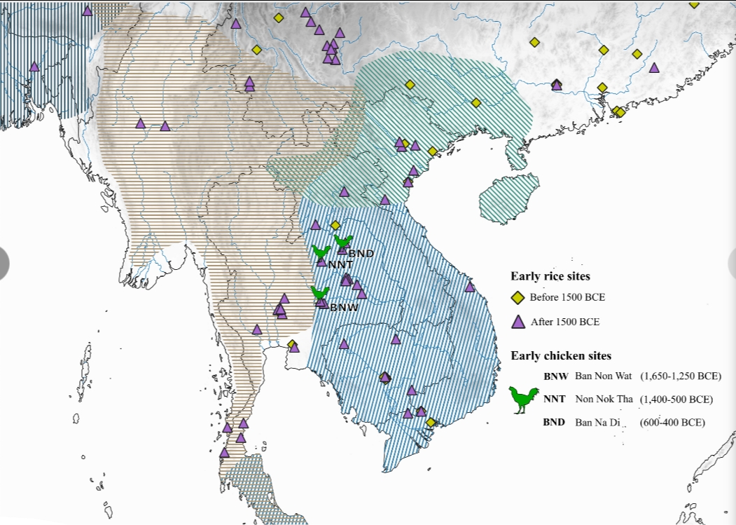 วิจัยต่างประเทศชี้ไทยคือพื้นที่ที่เลี้ยงไก่ที่แรกของโลก