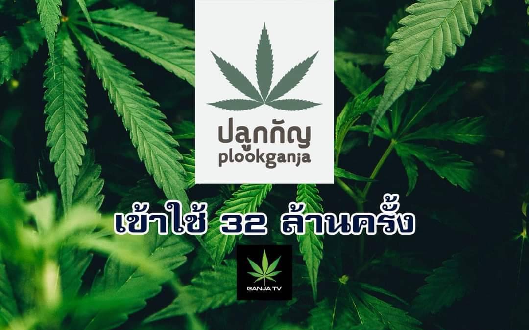 ยอดผู้ใช้ “ปลูกกัญ” พุ่งทะลุ 32 ล้านครั้ง