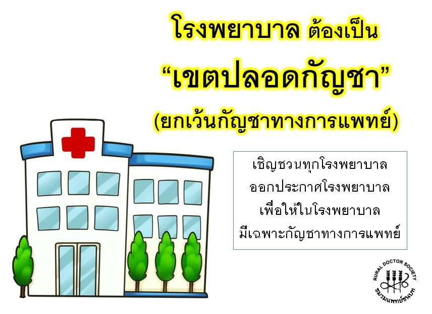 แพทย์ชนบท ปลอดกัญชา