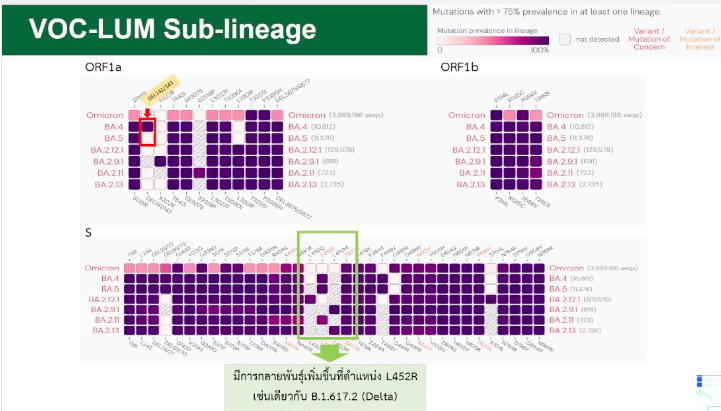 โอมิครอนสายพันธุ์ย่อยที่ต้องจับตาว่าเป็น VOC lineages under monitoring หรือ VOC-LUM หรือเรียกว่าเป็นสายพันธุ์ย่อย
