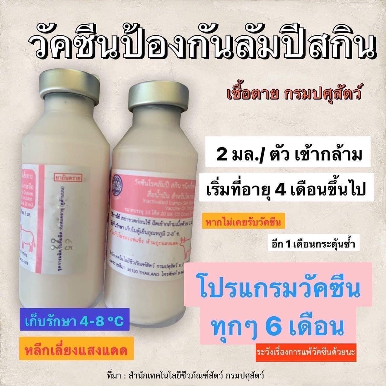 วัคซีน ลัมปีสกิน