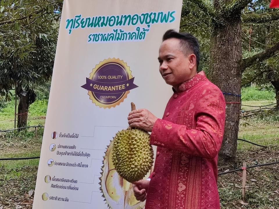 เปิดฤดู “ทุเรียนชุมพร” 4 หมื่นล้าน ผู้ว่าฯออกกฎเข้มสกัดทุเรียนด้อยคุณภาพ