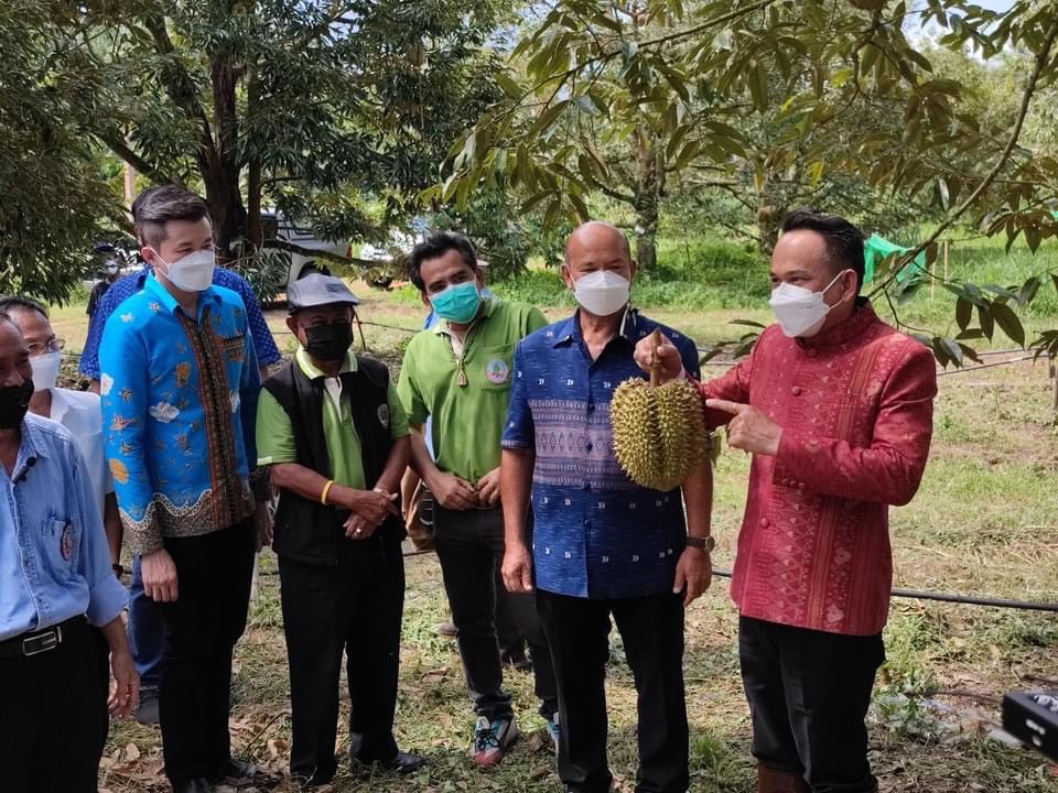 ทุเรียนชุมพร
