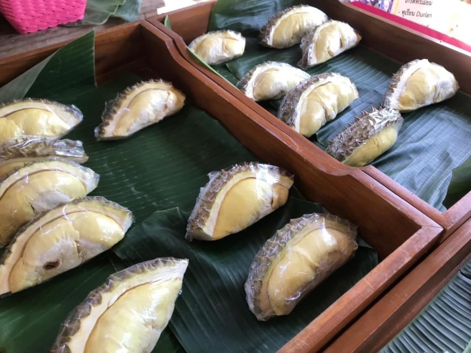 ทุเรียน