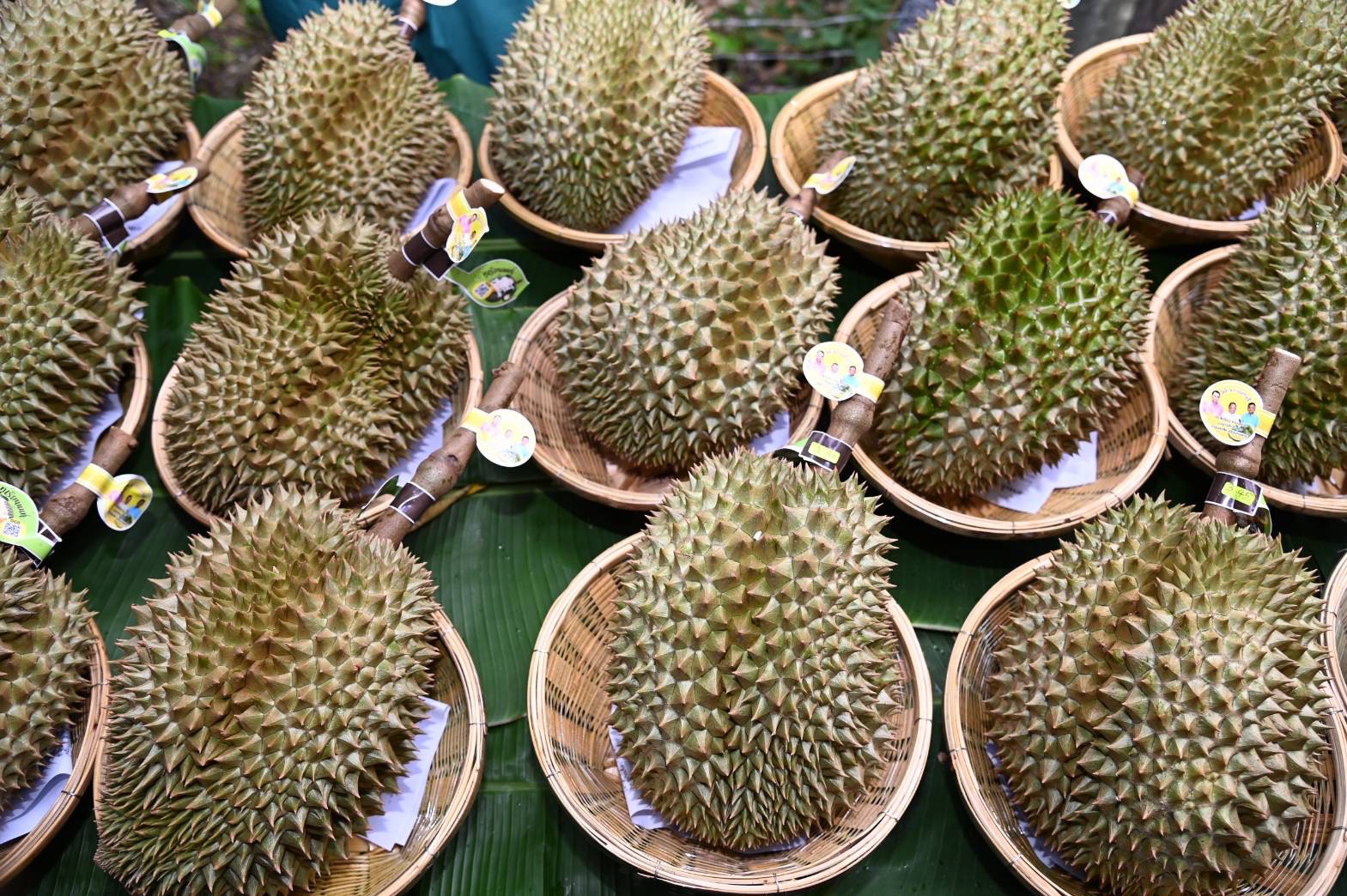 อลงกรณ์ ลุยโครงการมหานครผลไม้ ปักหมุดจันทบุรี ศูนย์บริหารจัดการครบวงจร