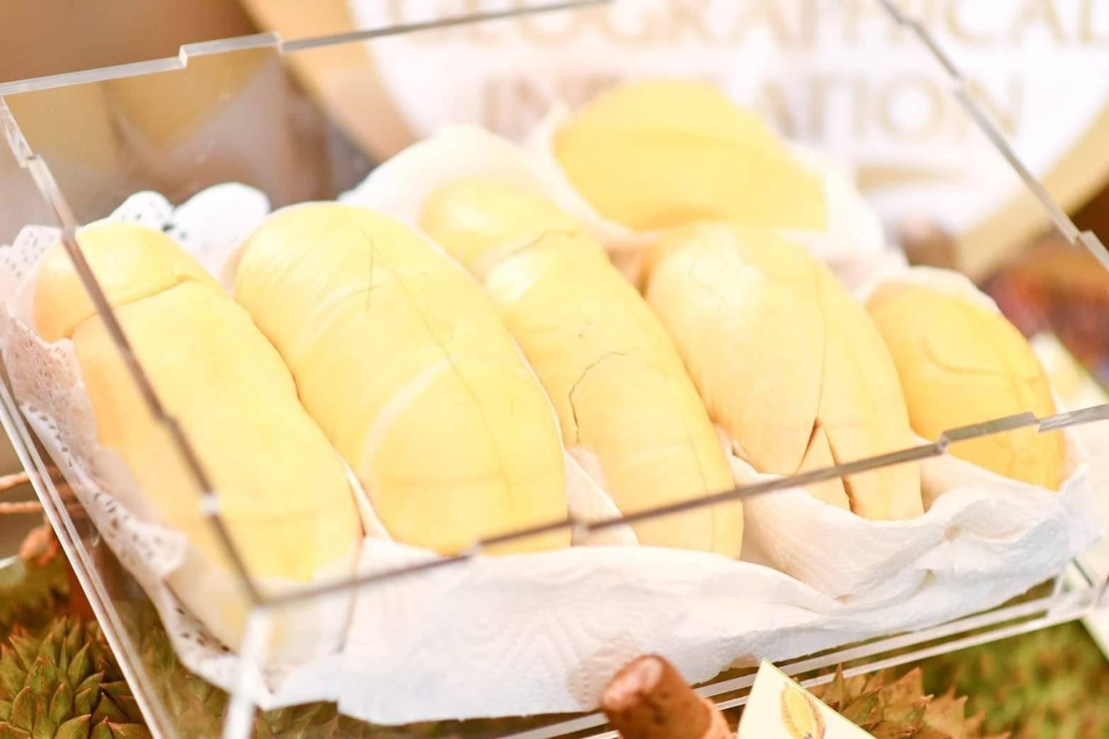 ศรีสะเกษ ชวนเที่ยวงานทุเรียนภูเขาไฟ คาด มิ.ย.-ก.ค. เงินสะพัด 80 ล้าน