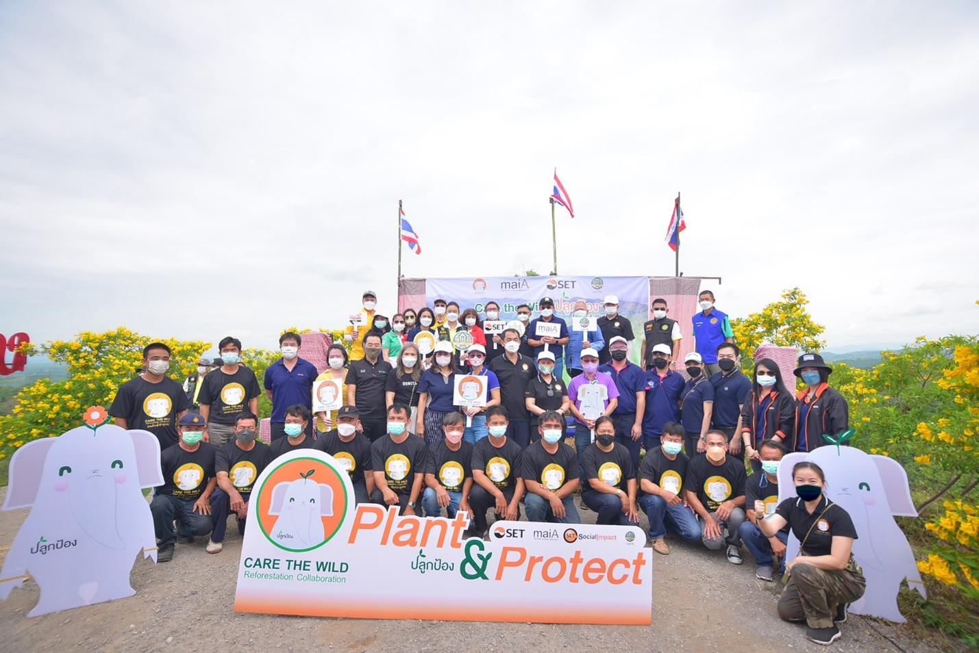 SET จับมือพันธมิตร ปลูกป่าม่อนแม่ถาง เมืองแพร่ มั่นใจ “Care the Wild” ช่วยคืนสมดุลสู่ธรรมชาติ