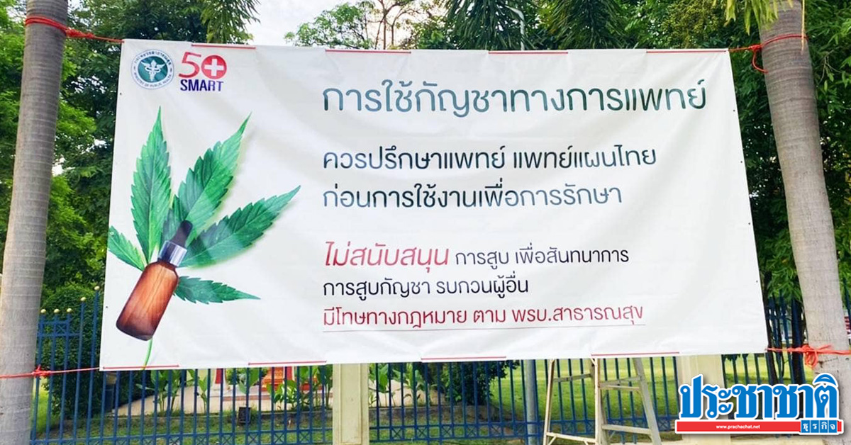 กัญชา กระแสแรงทั่วไทย สาธารณสุขจังหวัดรับมือ ให้ความรู้ประชาชน